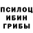 Псилоцибиновые грибы ЛСД Maga Gapuraev