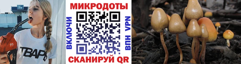 Купить  Бокситогорск  Псилоцибиновые грибы Psilocybe 